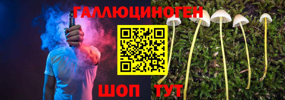 Галлюциногенные грибы Psilocybine cubensis  Псилоцибиновые грибы прущие грибы  Михайловск  Вход с VPN 